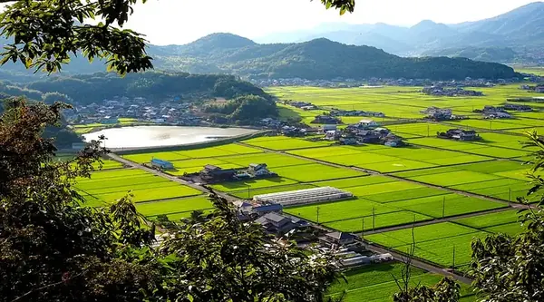 農地と住宅地・転用後のイメージ