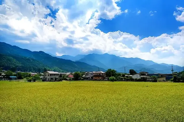 日本の農地・田んぼ