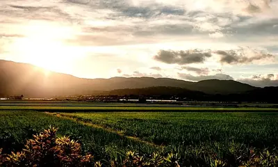 農地から宅地造成中