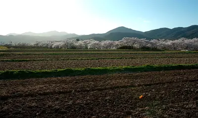 農地転用後の駐車場・工場